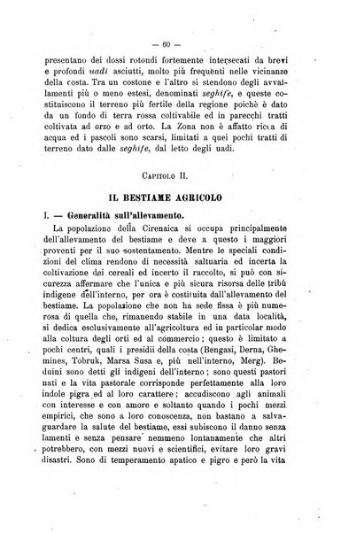 Archivio scientifico di medicina veterinaria