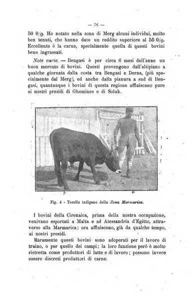 Archivio scientifico di medicina veterinaria