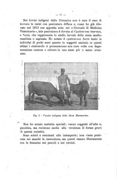 Archivio scientifico di medicina veterinaria