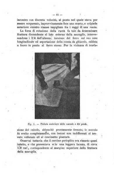 Archivio scientifico di medicina veterinaria