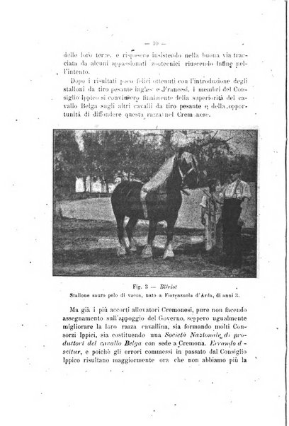 Archivio scientifico di medicina veterinaria