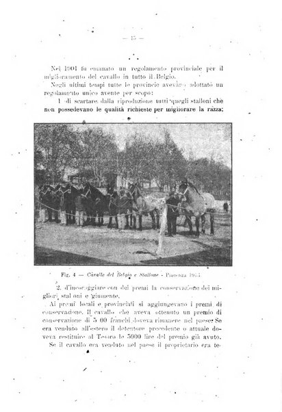 Archivio scientifico di medicina veterinaria