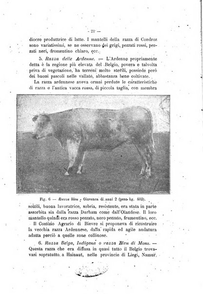 Archivio scientifico di medicina veterinaria