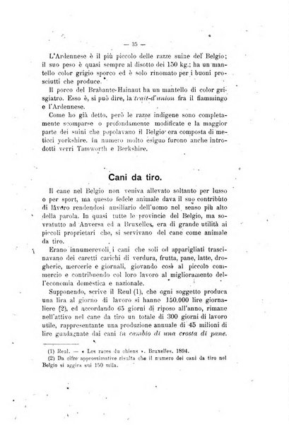 Archivio scientifico di medicina veterinaria