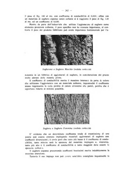 L'industria italiana del freddo periodico mensile, scientifico, tecnico, economico, sindacale