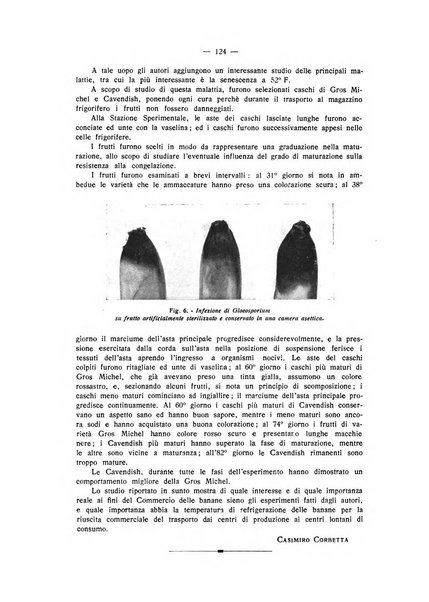 L'industria italiana del freddo periodico mensile, scientifico, tecnico, economico, sindacale