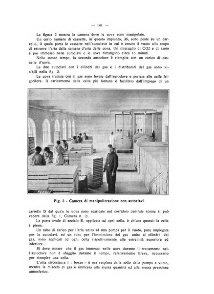 L'industria italiana del freddo periodico mensile, scientifico, tecnico, economico, sindacale