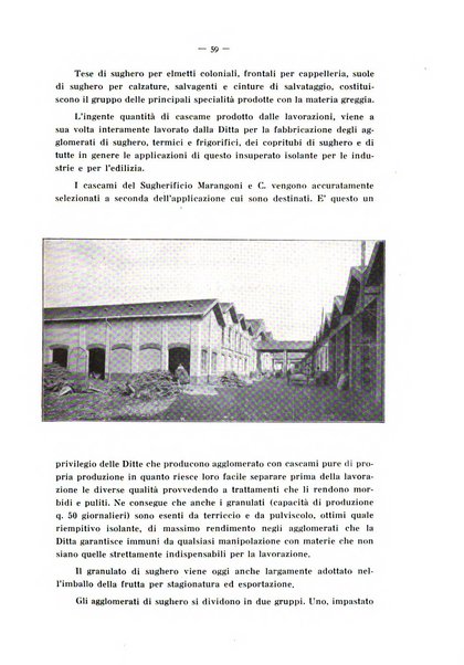 L'industria italiana del freddo periodico mensile, scientifico, tecnico, economico, sindacale