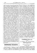 giornale/TO00553559/1880-1881/unico/00000248