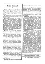 giornale/TO00553559/1880-1881/unico/00000555