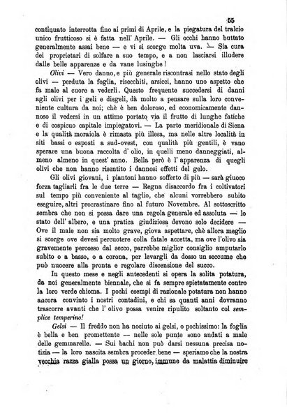 Bullettino del comizio agrario del circondario di Siena