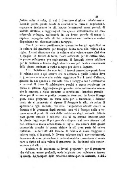 Bullettino del comizio agrario del circondario di Siena