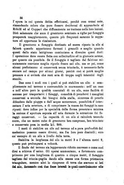 Bullettino del comizio agrario del circondario di Siena