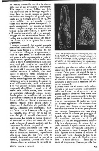 Panorama enciclopedia delle attualità