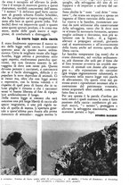 giornale/TO00630353/1939/v.1/00000447