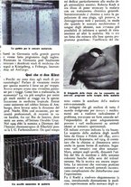 giornale/TO00630353/1939/v.2/00000089