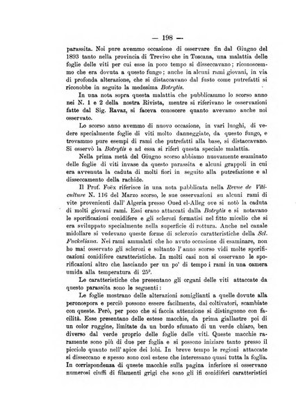 La rivista periodico della R. Scuola di Viticoltura e di Enologia di Conegliano