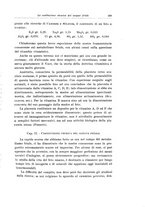 giornale/TSA0036894/1932/unico/00000229