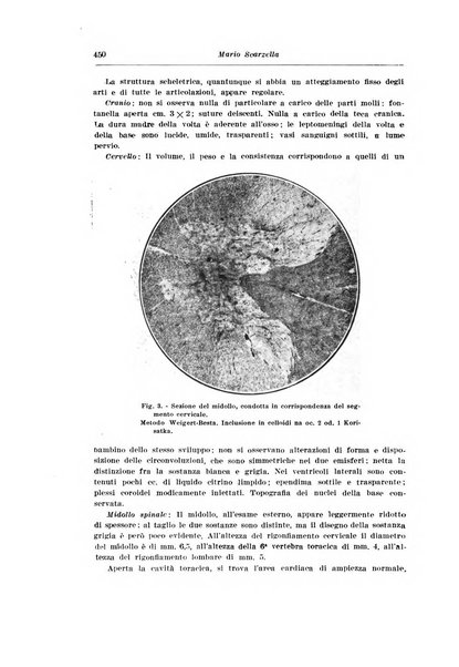 Archivio italiano di pediatria e puericoltura