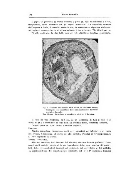 Archivio italiano di pediatria e puericoltura