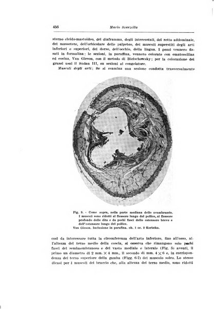 Archivio italiano di pediatria e puericoltura