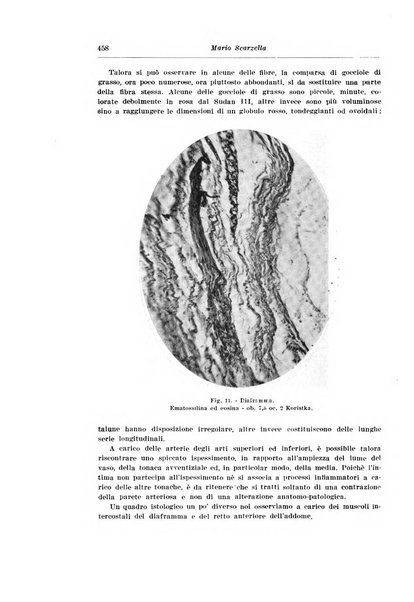 Archivio italiano di pediatria e puericoltura