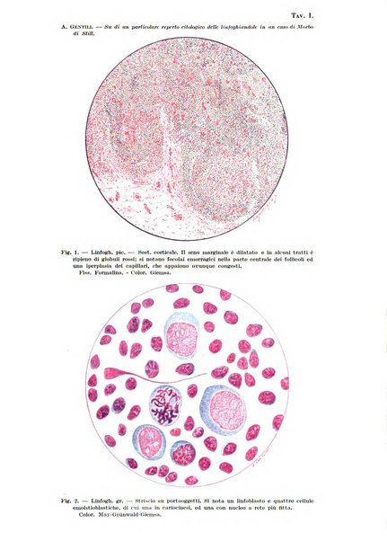 Archivio italiano di pediatria e puericoltura