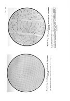 giornale/TSA0036894/1935/unico/00000123