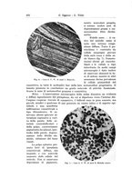 giornale/TSA0036894/1935/unico/00000500