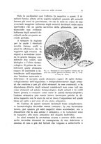 giornale/TSA0036894/1937/unico/00000027