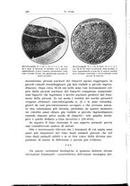 giornale/TSA0036894/1937/unico/00000248