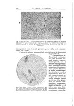 giornale/TSA0036894/1938/unico/00000130