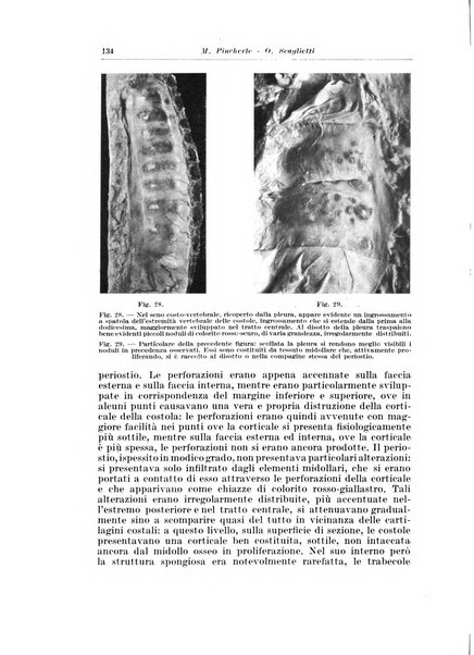 Archivio italiano di pediatria e puericoltura