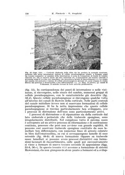 Archivio italiano di pediatria e puericoltura