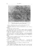 giornale/TSA0036894/1943/unico/00000020