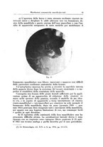 giornale/TSA0036961/1931/unico/00000025