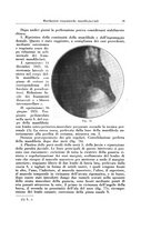 giornale/TSA0036961/1931/unico/00000049