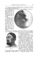 giornale/TSA0036961/1931/unico/00000053