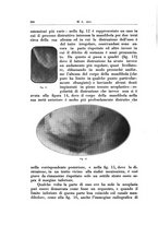 giornale/TSA0036961/1931/unico/00000250