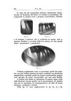 giornale/TSA0036961/1931/unico/00000266