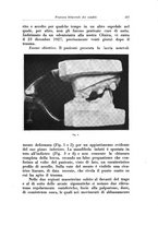 giornale/TSA0036961/1931/unico/00000307