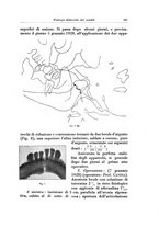 giornale/TSA0036961/1931/unico/00000311