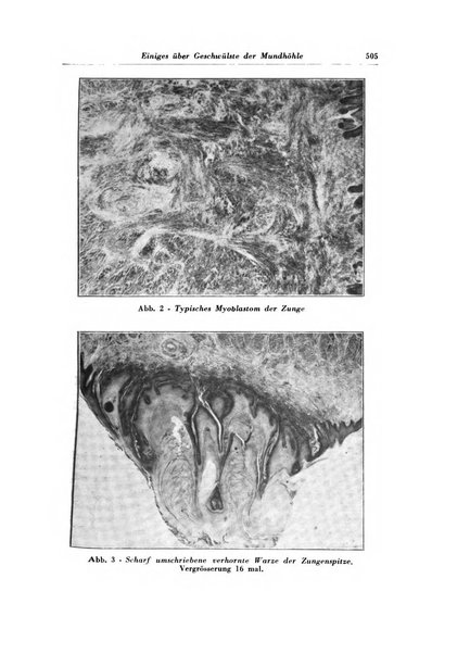 Archivum chirurgiae oris