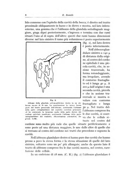 Archivum chirurgiae oris