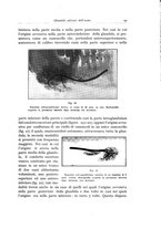 giornale/TSA0036961/1934/unico/00000035