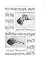 giornale/TSA0036961/1934/unico/00000039