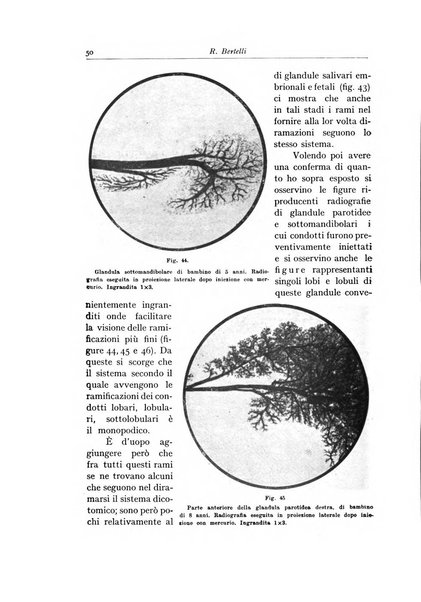 Archivum chirurgiae oris