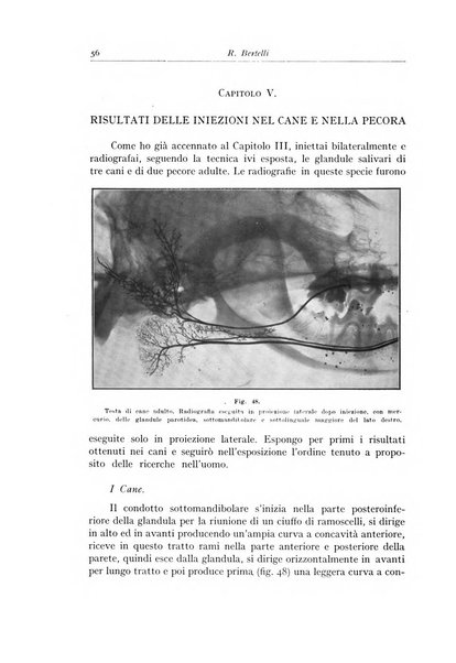 Archivum chirurgiae oris