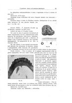 giornale/TSA0036961/1934/unico/00000093