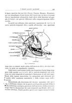 giornale/TSA0036961/1934/unico/00000487